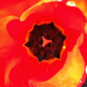 Meet your Posher, Ruchi